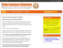 Tablet Screenshot of onlinebusinessnetworker.com